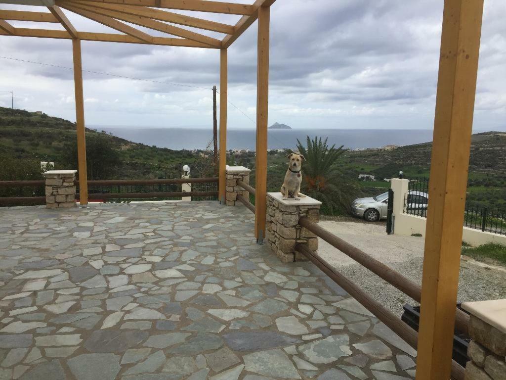 Villas Alexandros Petrino Kalamaki  Bagian luar foto